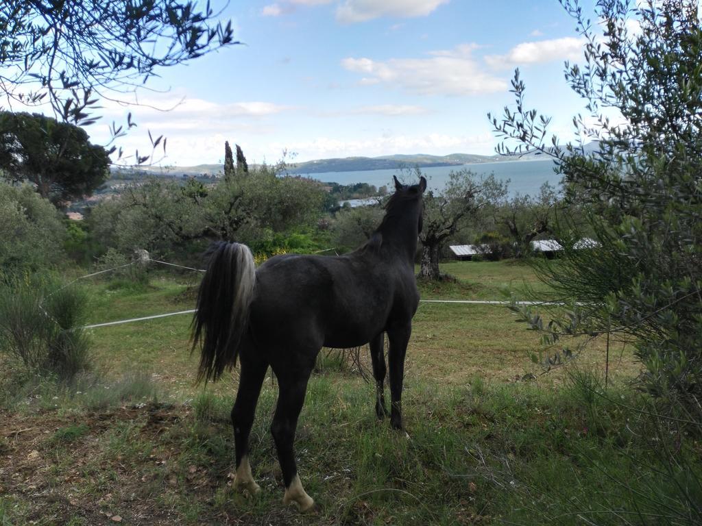 Antico Casale Tiravento Aparthotel Passignano sul Trasimeno Exterior foto